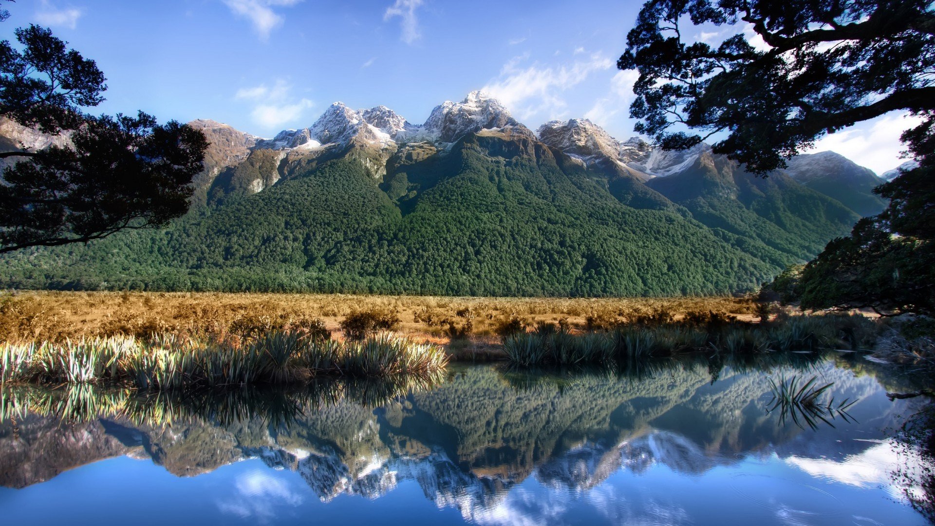 Милфорд Саунд Новая Зеландия горы озеро природа без смс