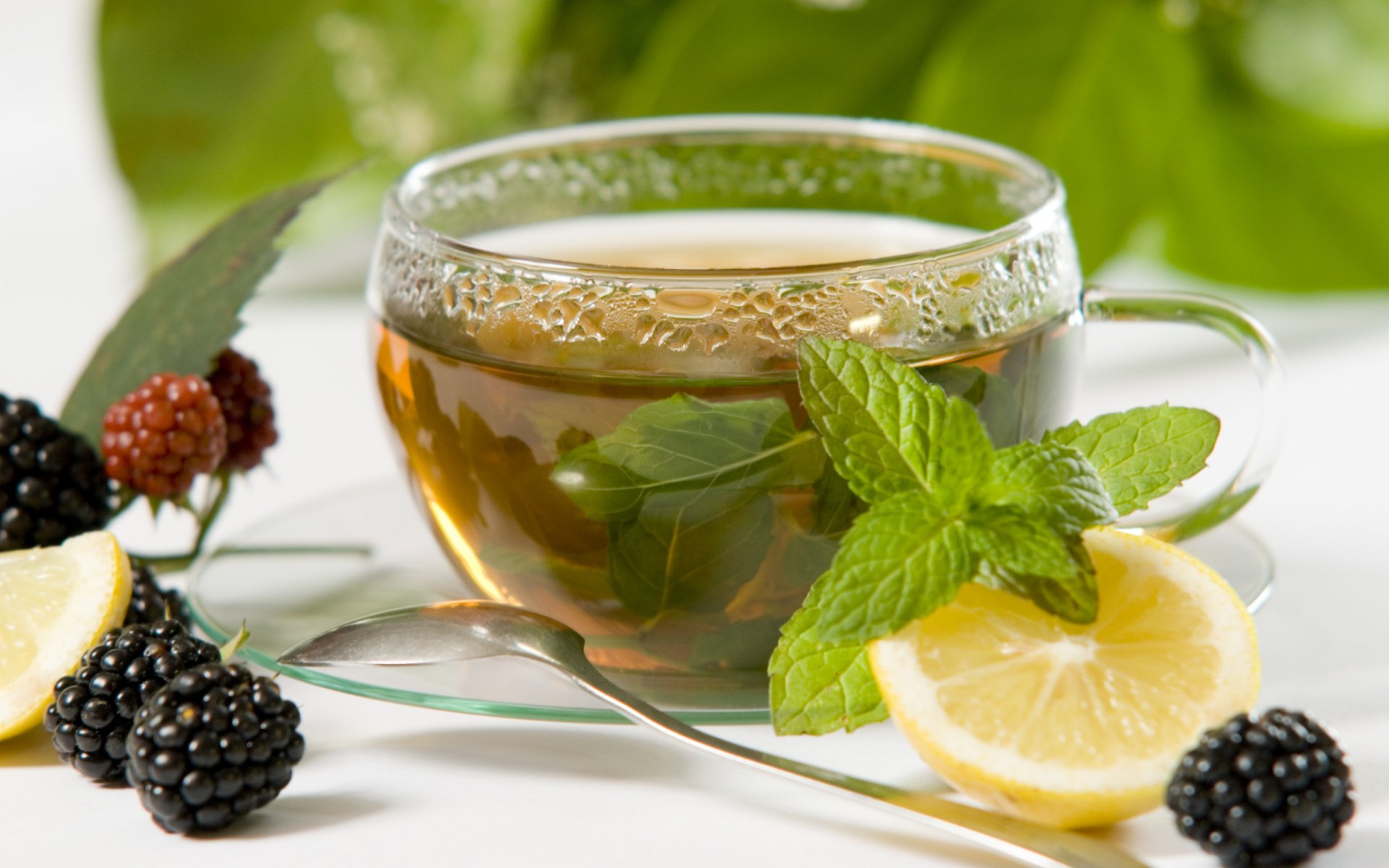 HD PC desktop wallpaper featuring a clear glass cup of herbal tea garnished with fresh mint, lemon slice, and blackberries against a soft, leafy green background.