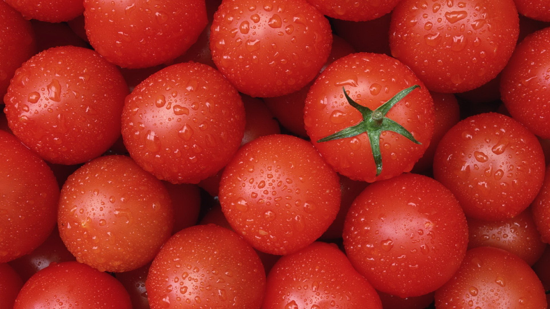 Tomate Fondo de pantalla HD | Fondo de Escritorio | 1920x1080 | ID