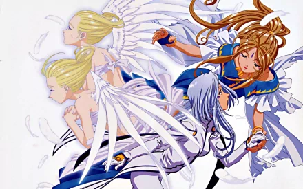 HD PC desktop wallpaper featuring Belldandy, Lind, and Cool Mint from the anime Ah! My Goddess, showcasing their detailed angelic wings and dynamic poses.