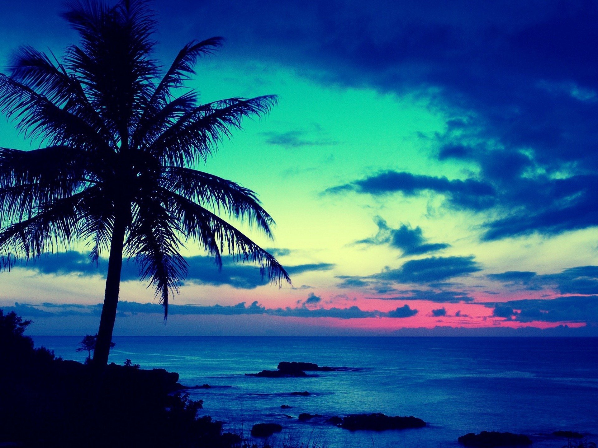 Scenic nature HD PC desktop wallpaper/background: silhouetted palm tree on a tropical coast with turquoise sea and pink-tinged sunset.
