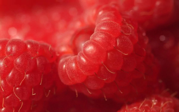 Close-up HD desktop wallpaper of vibrant red raspberries highlighting their detailed texture and fresh appearance.