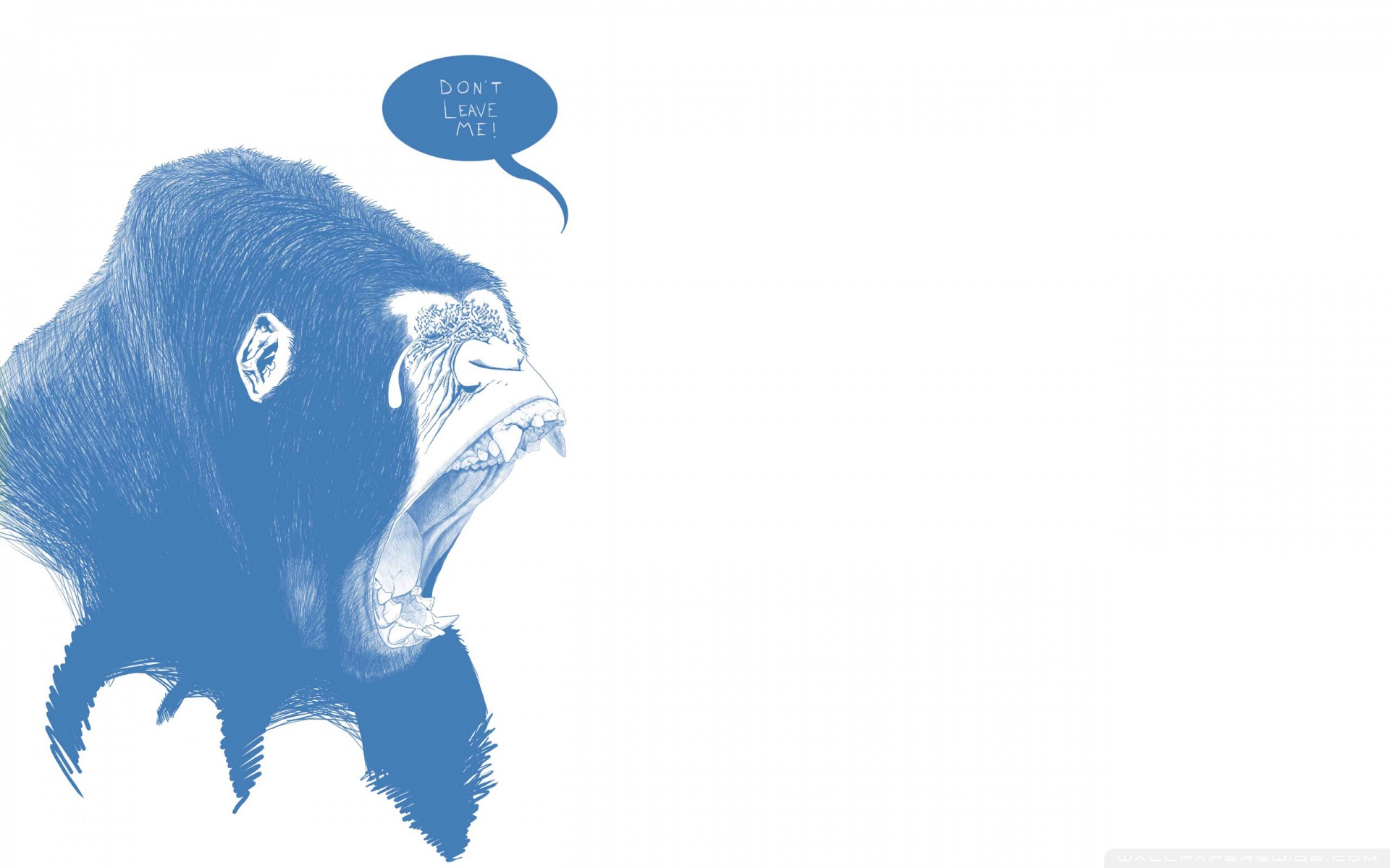 Animal Gorilla HD Wallpaper | Background Image