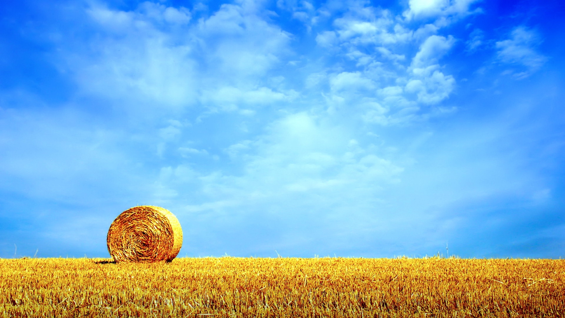Nature Field HD Wallpaper