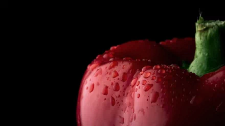 Close-up HD desktop wallpaper of a fresh red pepper with water droplets against a black background, highlighting its vibrant color and texture.