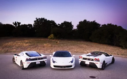 Ferrari F430 Italy vehicle Ferrari HD Desktop Wallpaper | Background Image