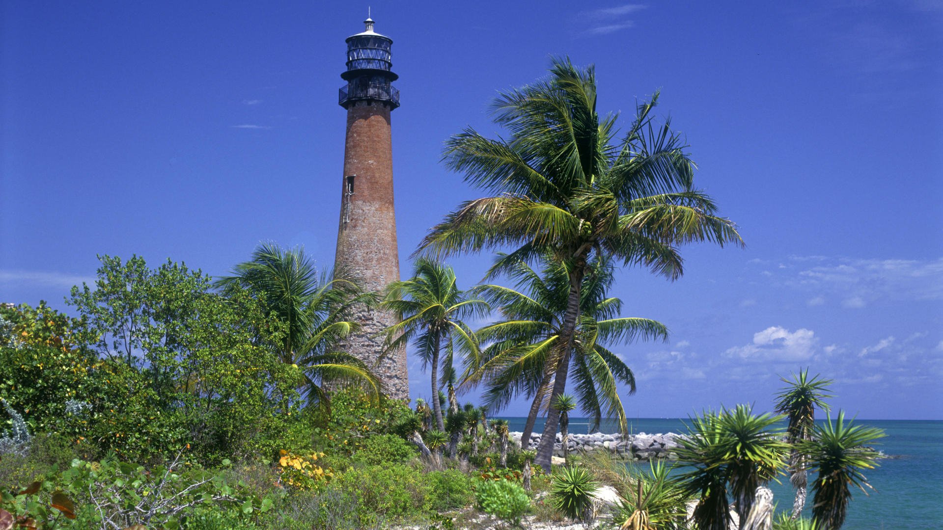 HD desktop wallpaper featuring a man-made lighthouse on the Florida coast, surrounded by palm trees and vibrant greenery under a clear blue sky.