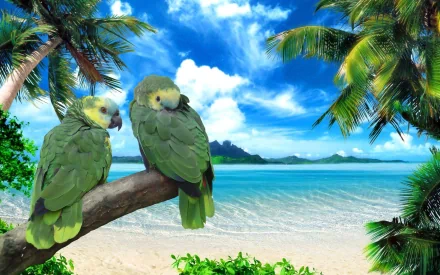 Two amazon parrots perched on a branch with a tropical beach and palm trees in the background. This HD desktop wallpaper captures the vibrant beauty of nature and exotic birds.
