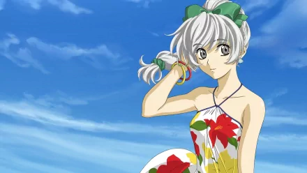 A vibrant HD wallpaper featuring a character from the anime Full Metal Panic!, styled in a floral dress against a bright blue sky, exuding a lively summer vibe.