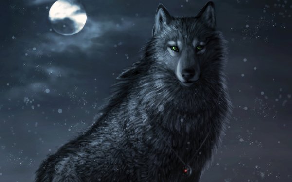Animales Lobo Fantasía Close-Up Luna Fondo de pantalla HD | Fondo de Escritorio