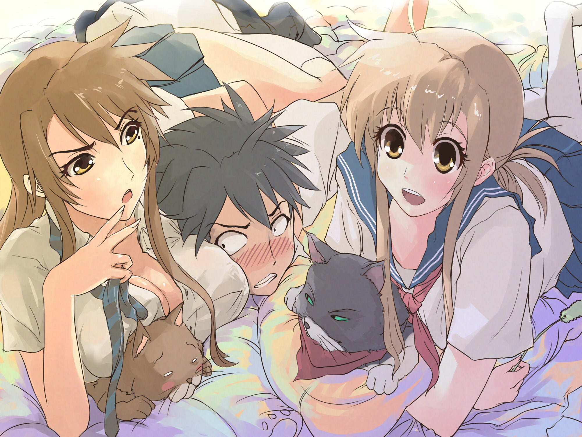 Anime Nyan Koi! HD Wallpaper | Background Image