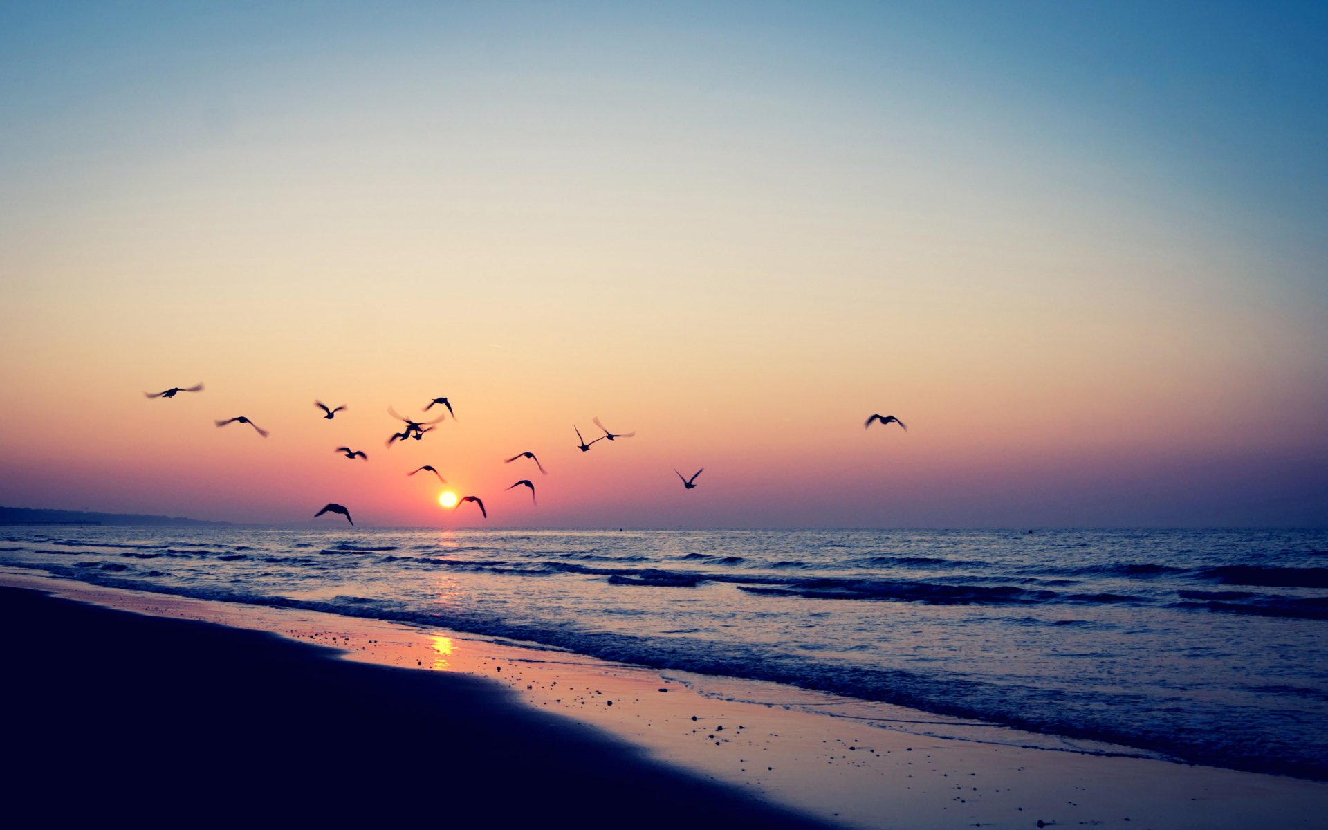 A serene sunset over the ocean, with silhouetted birds flying across the sky, creating a beautiful scene in nature. An HD desktop wallpaper that captures the tranquility of the moment.