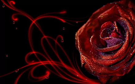 A close-up of a red rose covered in dew drops against a black background, with artistic red swirls enhancing this HD PC desktop wallpaper.