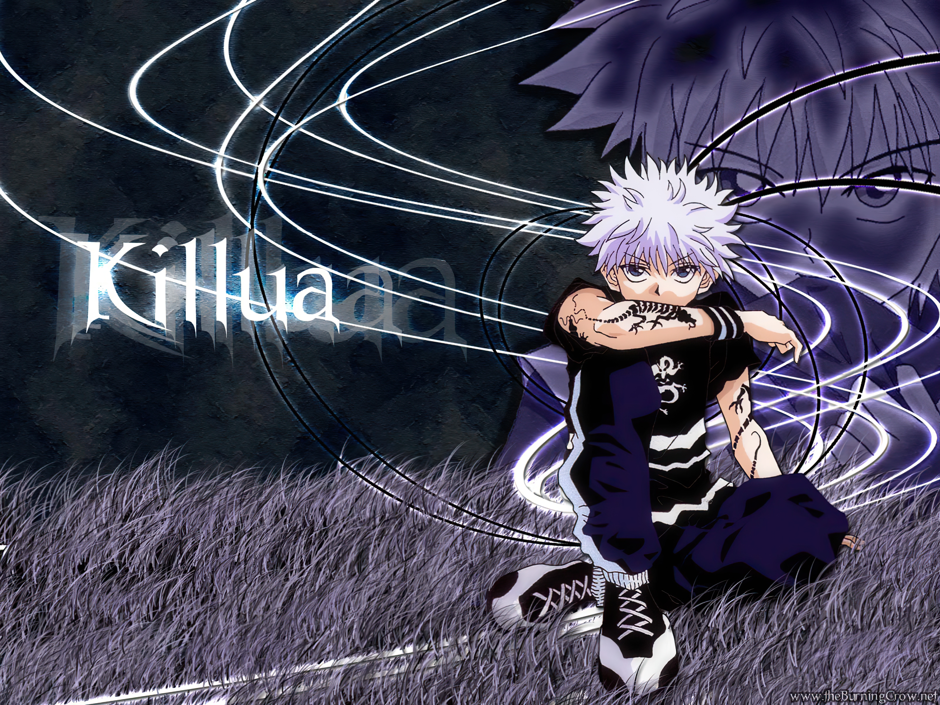 hunter x hunter, HD wallpaper