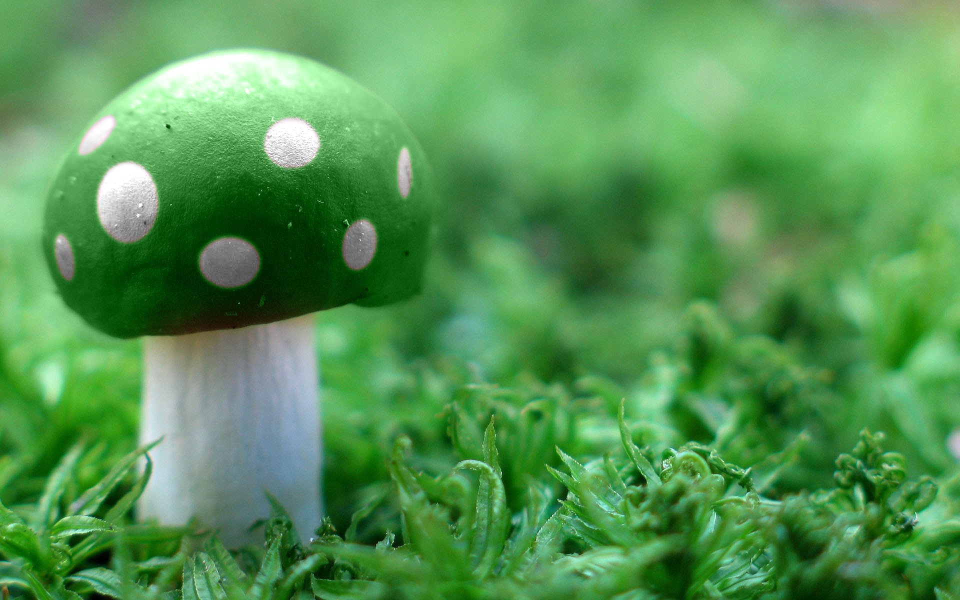 A vibrant green mushroom with white spots rests on lush green moss, inspired by the iconic elements of Super Mario Bros., making for a captivating HD desktop wallpaper.