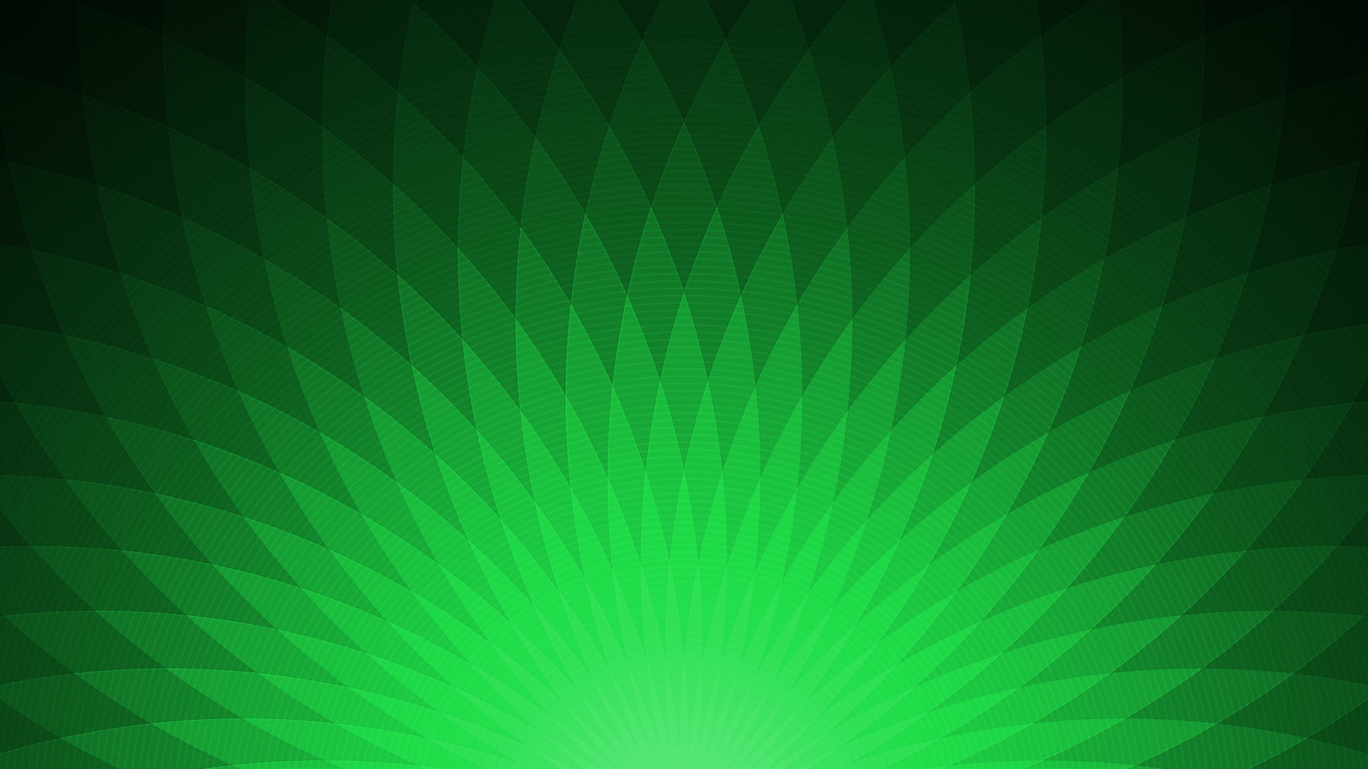 green background hd wallpaper