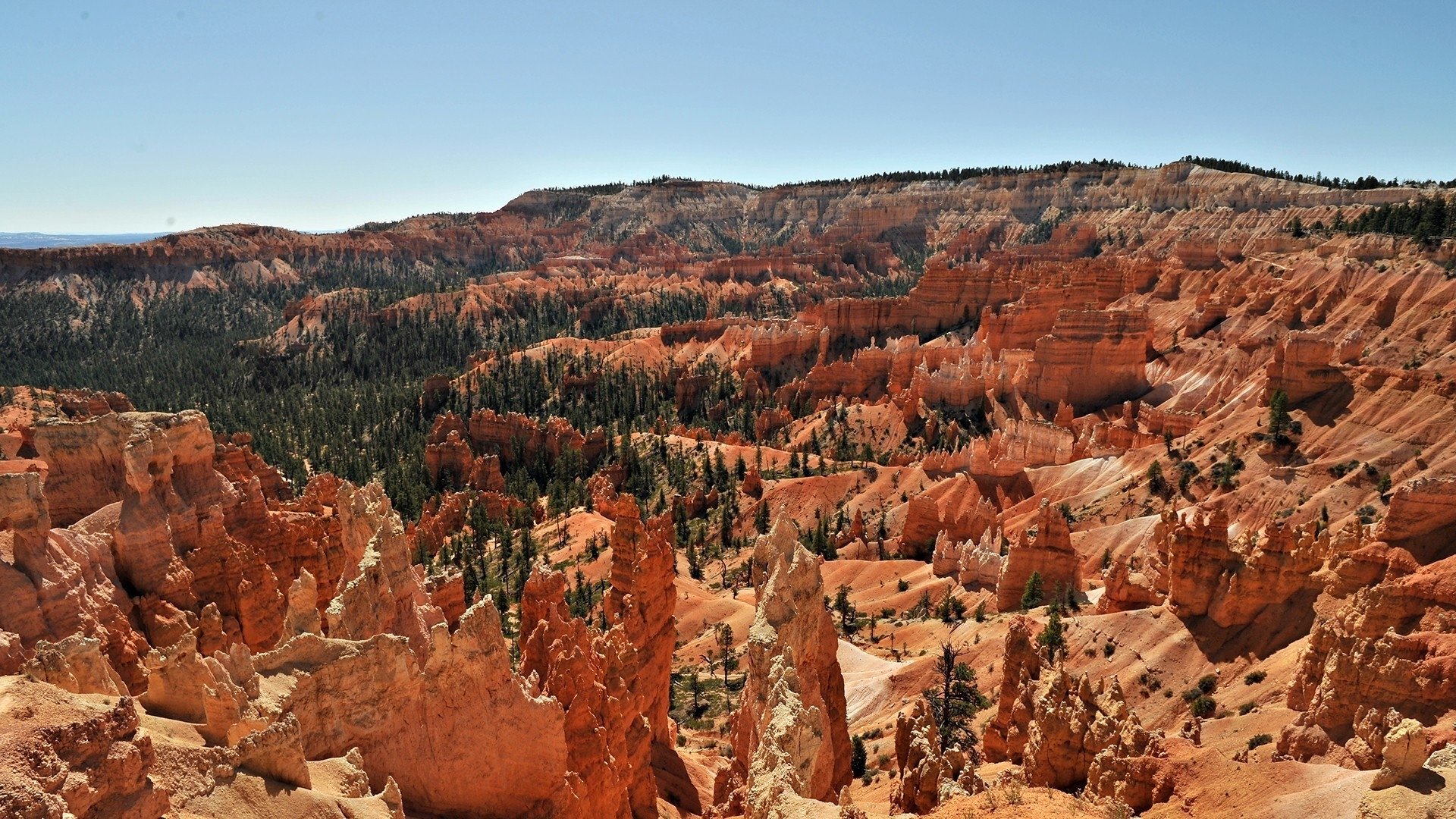 HD PC desktop wallpaper featuring a vast canyon landscape with rugged orange rock formations and green trees under a clear blue sky.