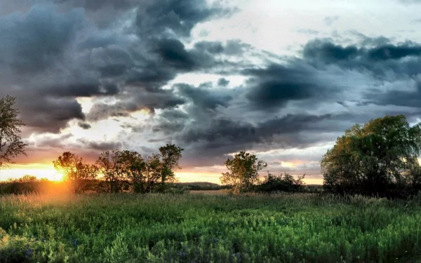 HD desktop wallpaper of a serene landscape featuring a vibrant sunrise/sunset over a lush green field, with trees scattered throughout and a dramatic cloudy sky overhead.