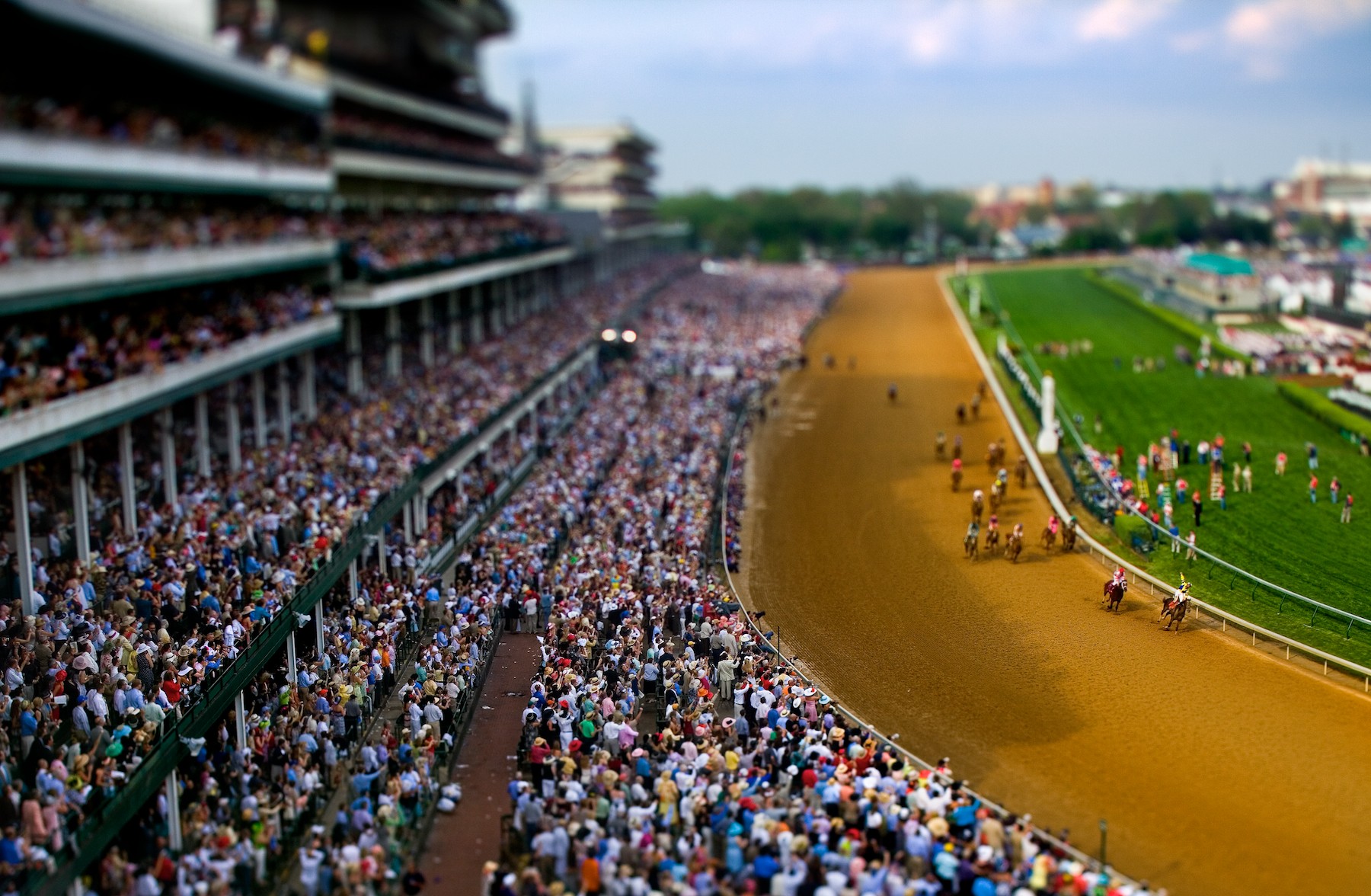 Download Horse Racing Racing Horse Stadium Photography Tilt Shift Wallpaper