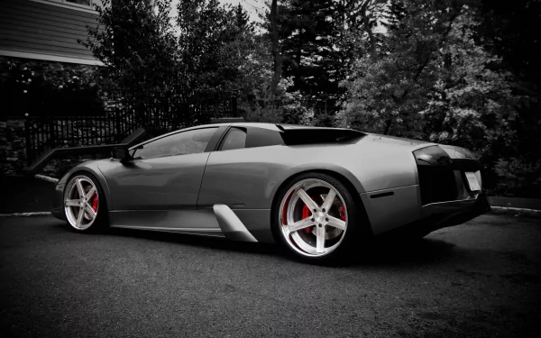 Gray Lamborghini Murcielago parked by trees, dramatic high-contrast 4K Ultra HD PC desktop wallpaper/background showcasing sleek lines and red brake calipers.