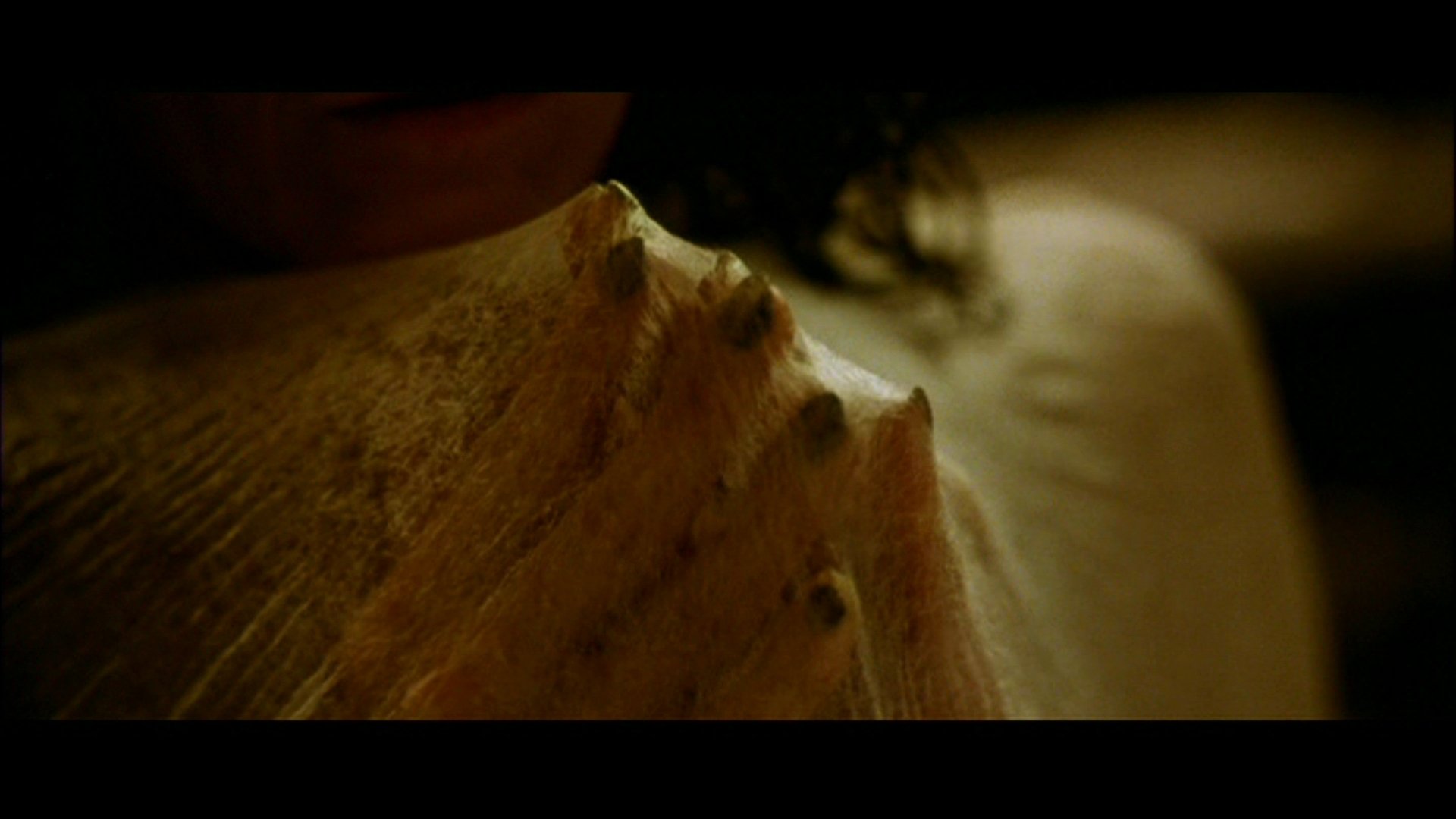 Download Movie Alien: Resurrection HD Wallpaper