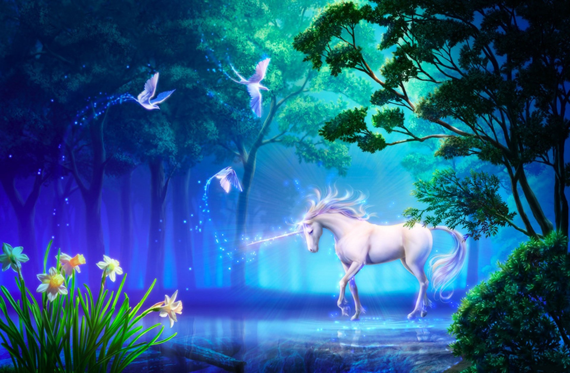 60+ Fantasy Unicorn HD Wallpapers and Backgrounds