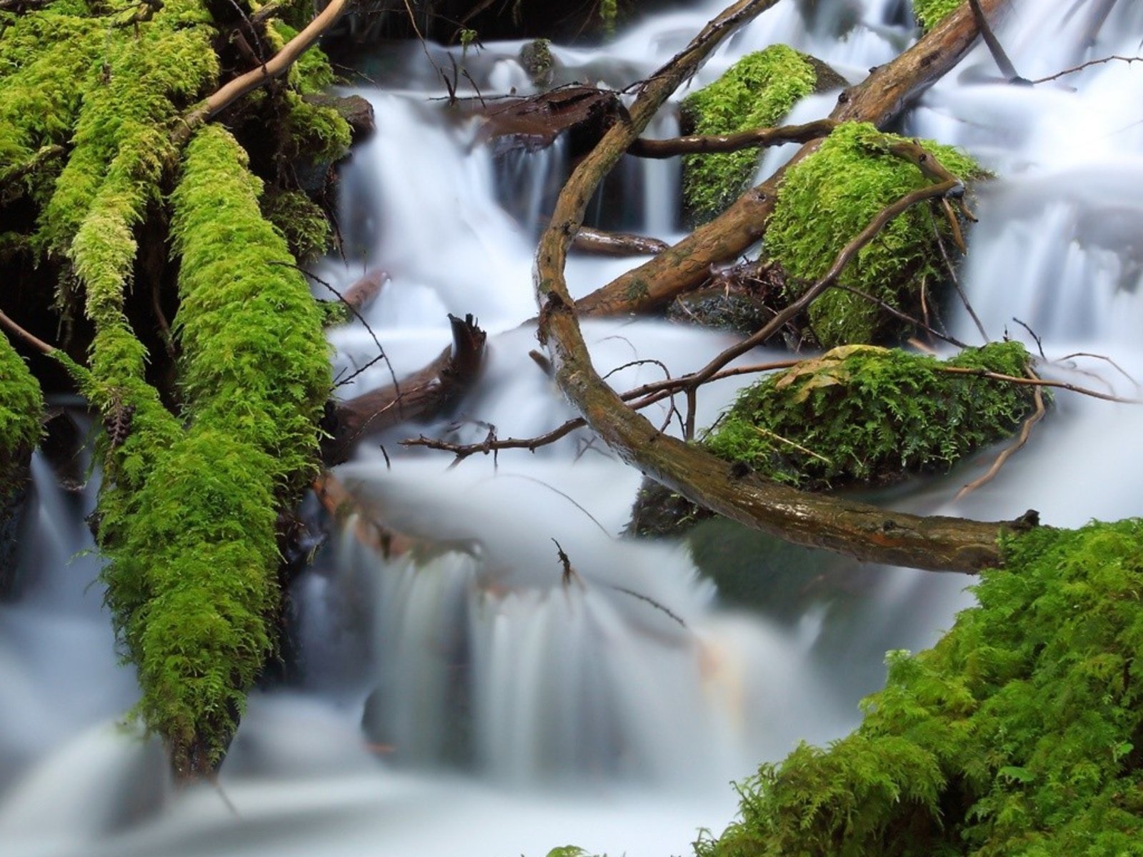 HD desktop wallpaper featuring a serene waterfall with flowing water over moss-covered stones and branches in a lush natural setting.