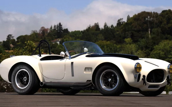 vehicle cobra HD Desktop Wallpaper | Background Image