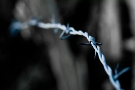 man made barb wire HD Desktop Wallpaper | Background Image