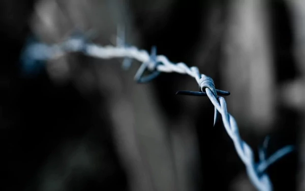 man made barb wire HD Desktop Wallpaper | Background Image