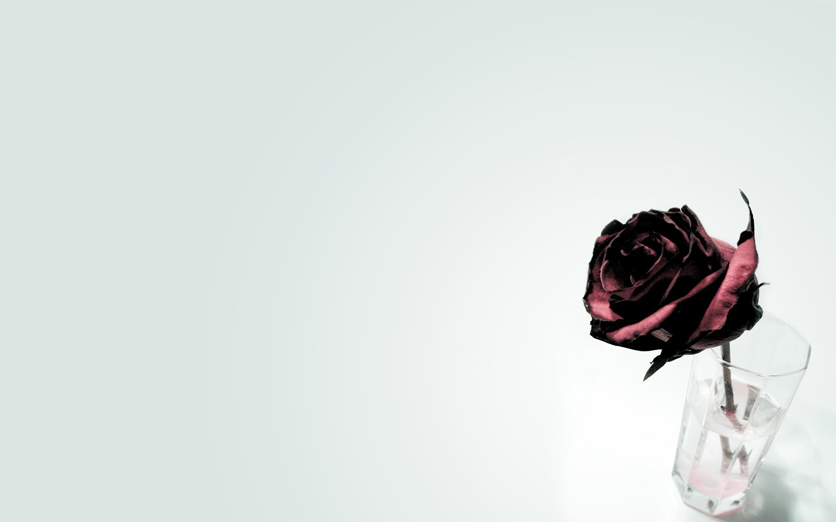 HD PC desktop wallpaper featuring a detailed man-made rose in a clear glass vase against a soft, light background.