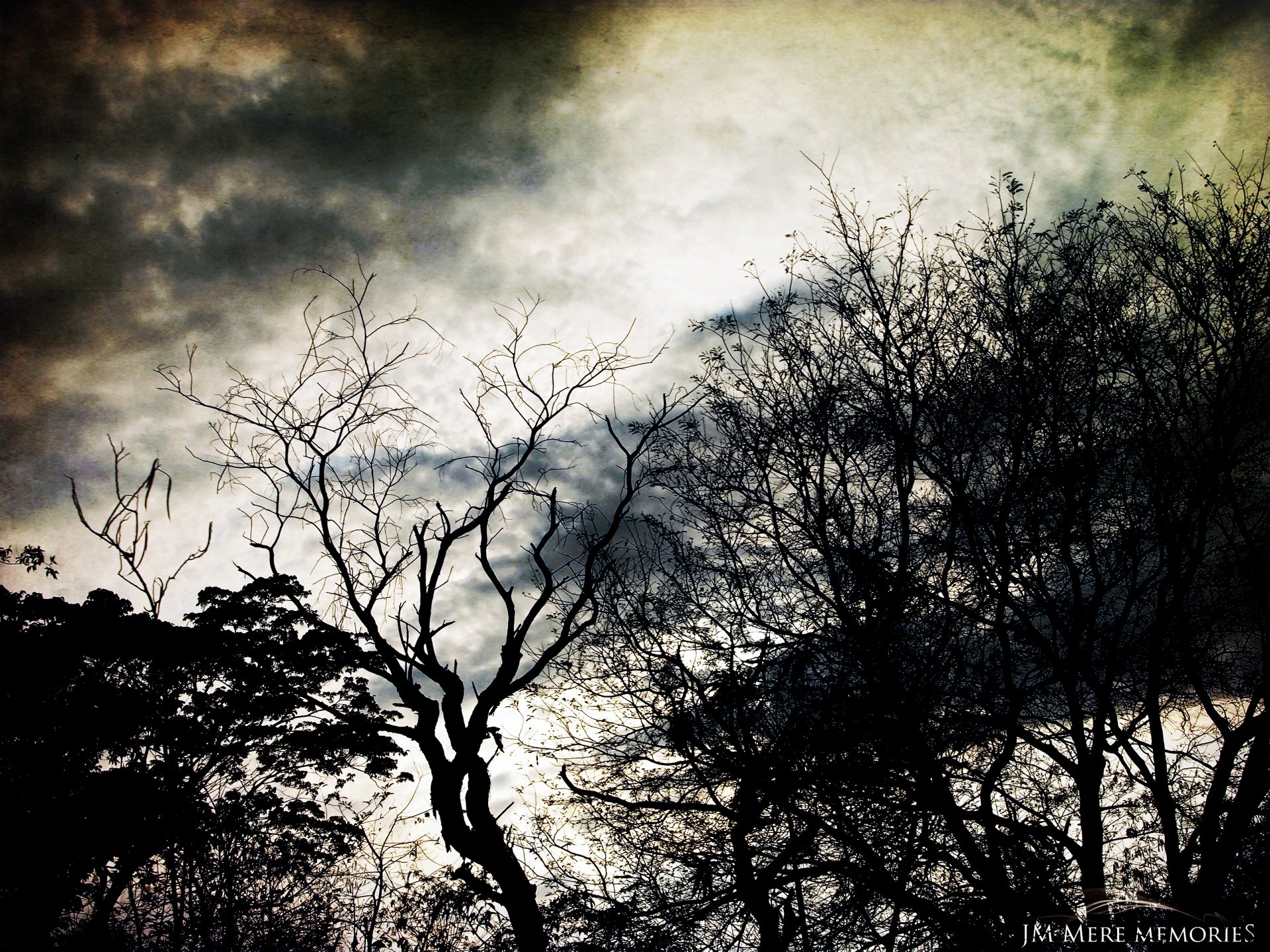 Darkness Falls by sylphseeker