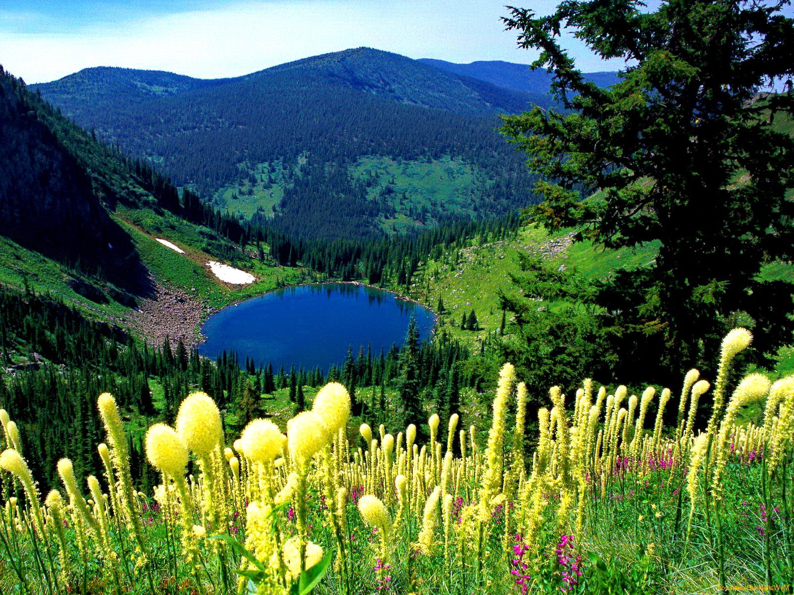 A vibrant landscape featuring lush green mountains, a serene lake, and colorful flowers in the foreground, framed by tall trees, showcasing the beauty of nature.
