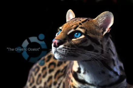 A striking HD desktop wallpaper featuring a close-up of a majestic ocelot with bright blue eyes, accented by the Ubuntu logo, showcasing the blend of technology and nature.
