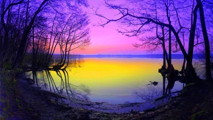 A vibrant pastel sunset over a tranquil lake, framed by silhouettes of trees. The scene showcases rich yellow and purple hues, creating a serene nature backdrop. High-definition desktop wallpaper.