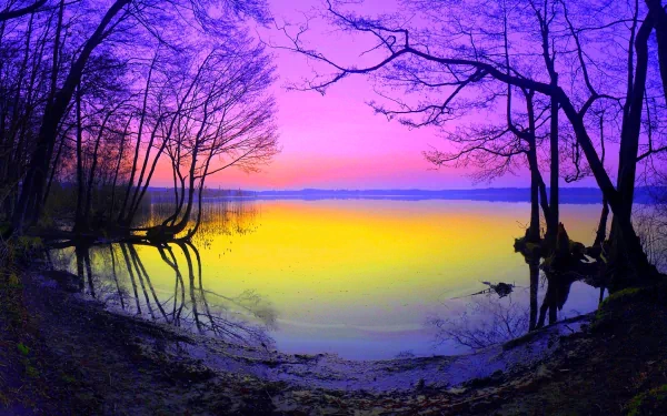 A vibrant pastel sunset over a tranquil lake, framed by silhouettes of trees. The scene showcases rich yellow and purple hues, creating a serene nature backdrop. High-definition desktop wallpaper.