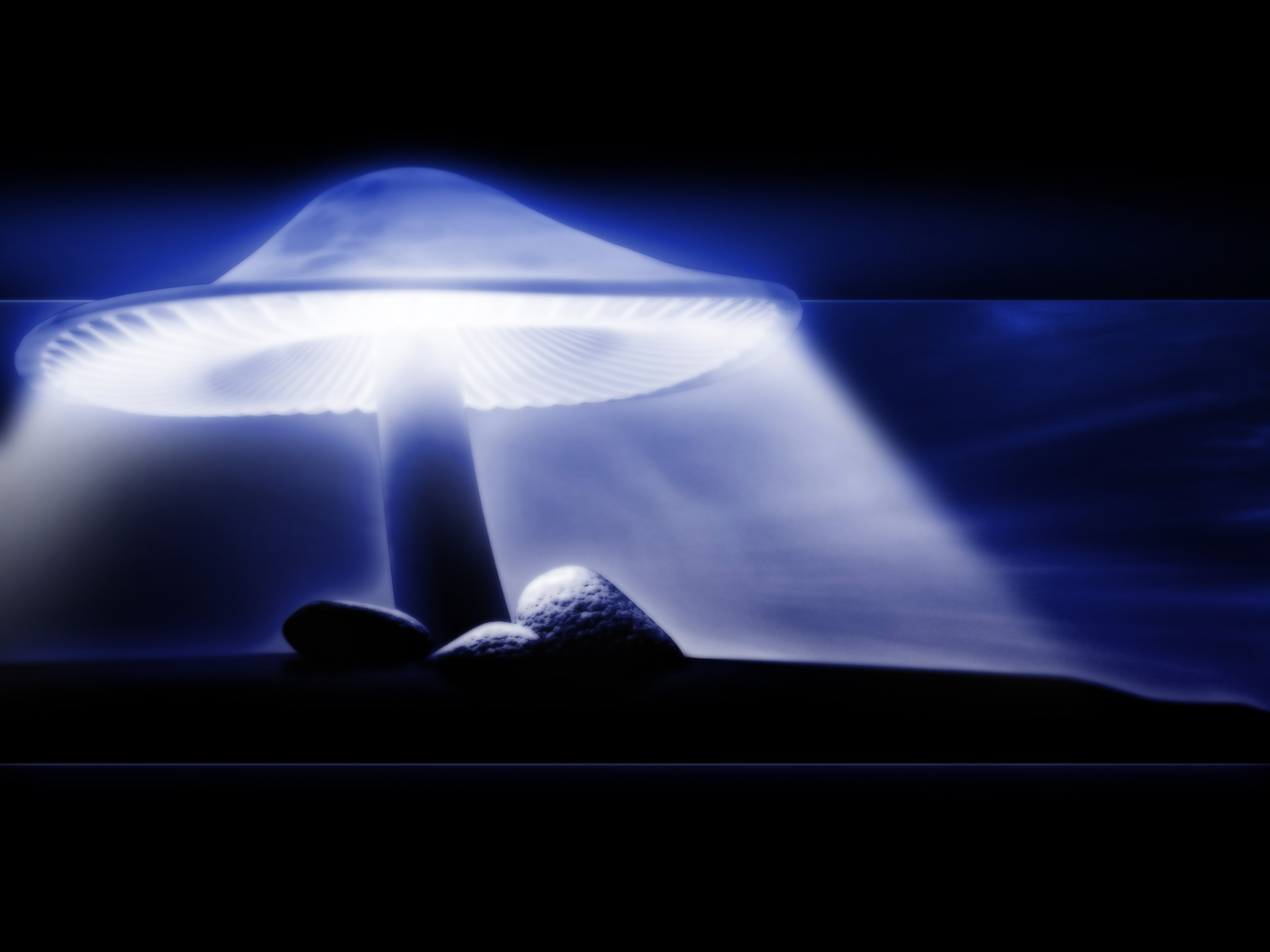 Artistic Mushroom Wallpaper