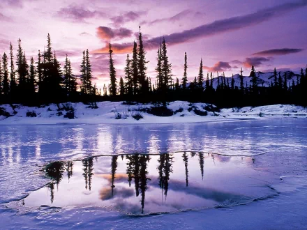 HD desktop wallpaper featuring a serene winter landscape with snow-covered ground, silhouetted trees, and a tranquil frozen lake reflecting the vibrant purple and pink hues of the sunset.