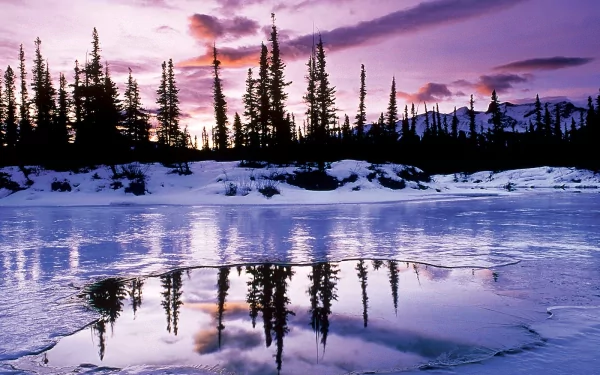 HD desktop wallpaper featuring a serene winter landscape with snow-covered ground, silhouetted trees, and a tranquil frozen lake reflecting the vibrant purple and pink hues of the sunset.