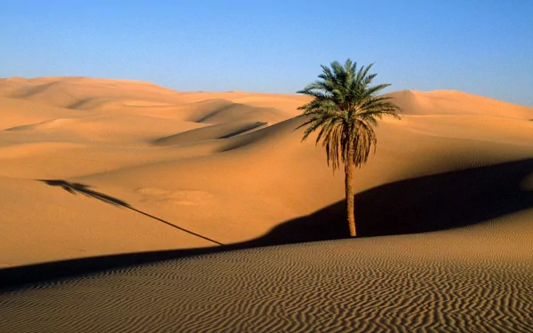 nature desert HD Desktop Wallpaper | Background Image