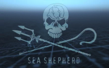 A striking HD wallpaper featuring the Sea Shepherd logo, combining a skull and crossed tools, symbolizing the fight against whaling and marine conservation efforts.