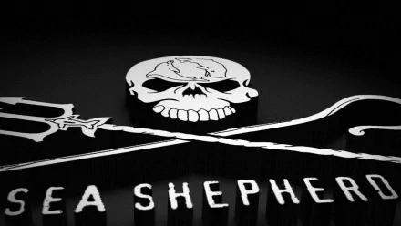 HD desktop wallpaper featuring the Sea Shepherd logo with a skull and crossed tridents, symbolizing their Whale Wars marine conservation efforts.