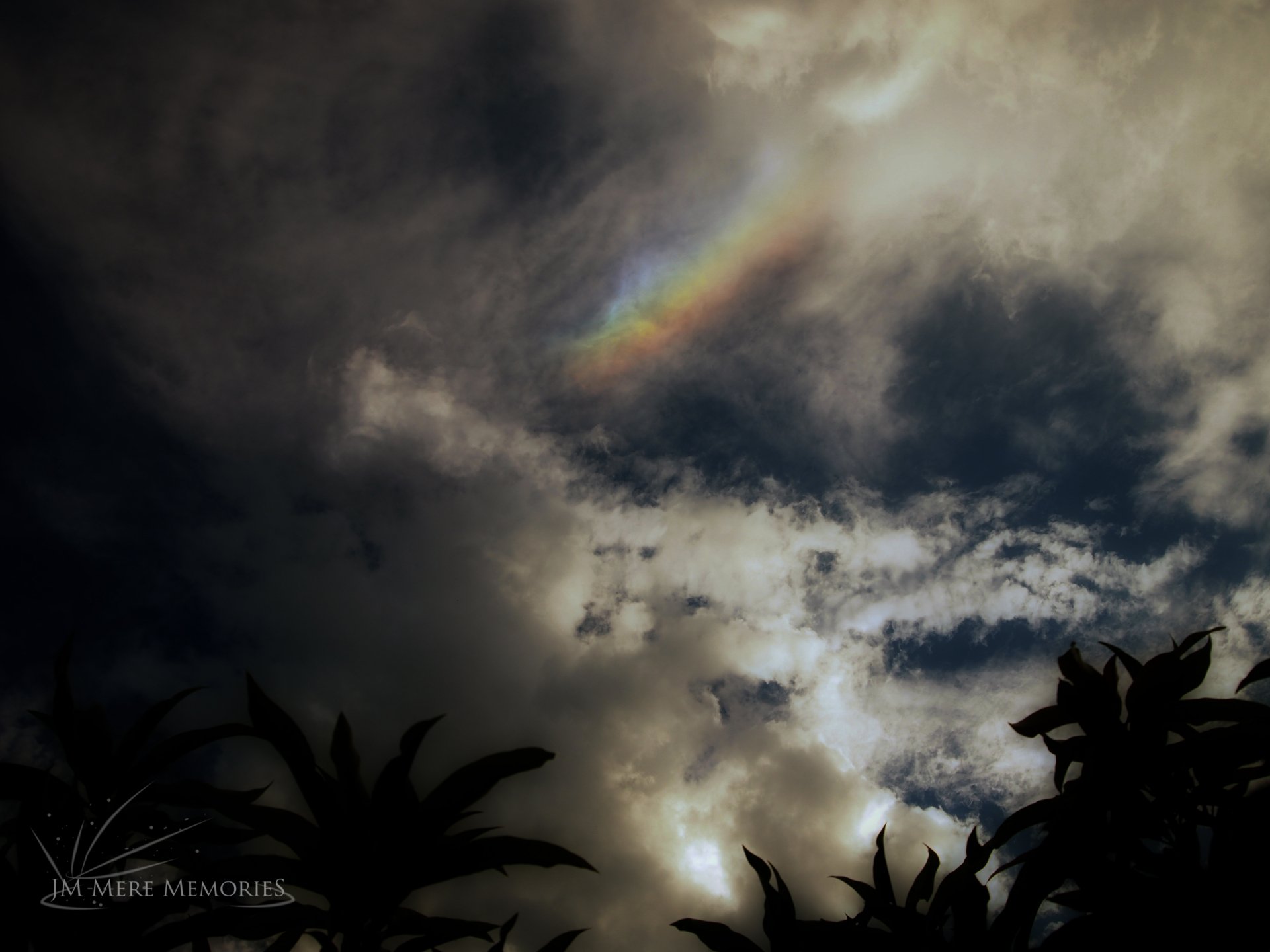 2K Quad HD PC desktop wallpaper: dramatic storm clouds with a faint rainbow arc breaking through above silhouetted foliage.
