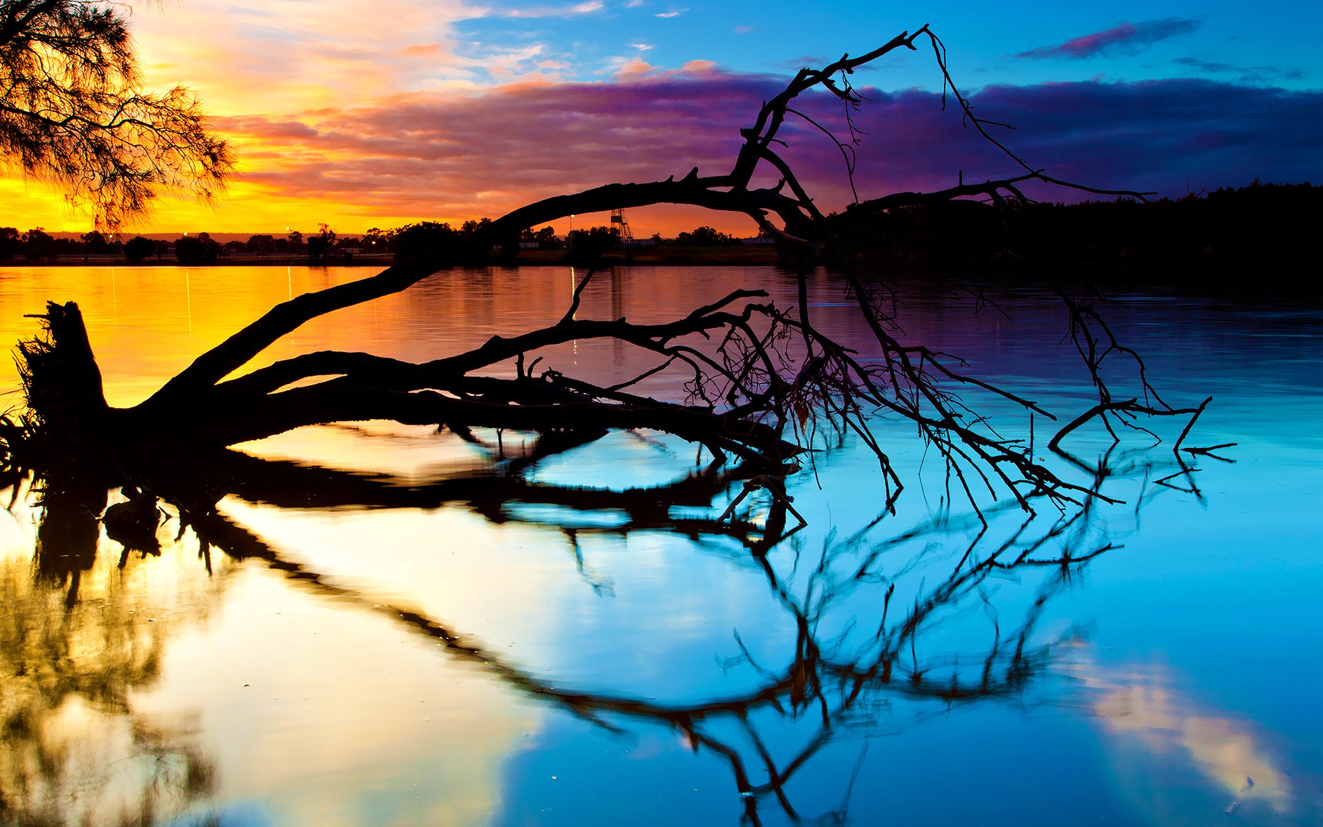 HD desktop wallpaper of a serene sunset over calm blue water with a fallen tree reflecting in the still surface, showcasing nature's tranquil beauty.