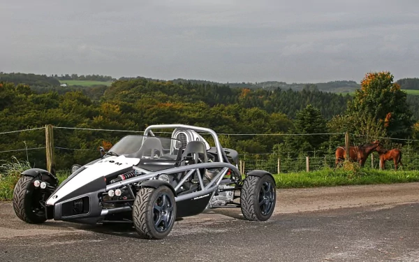 Ariel Atom open-frame vehicle parked on a rural roadside with rolling hills and grazing horses — HD PC desktop wallpaper and background.