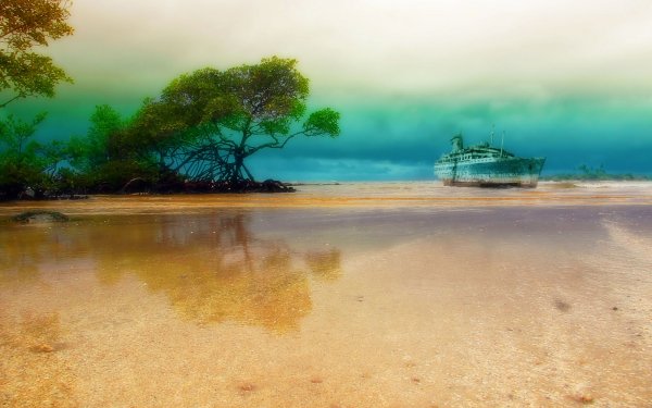 Fotografía Playa Mangrove Tropico Reflejo Shipwreck Fondo de pantalla HD | Fondo de Escritorio