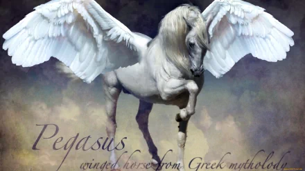 A majestic Pegasus, a winged horse from Greek mythology, depicted soaring against a mystical background. This HD desktop wallpaper brings fantasy to life.