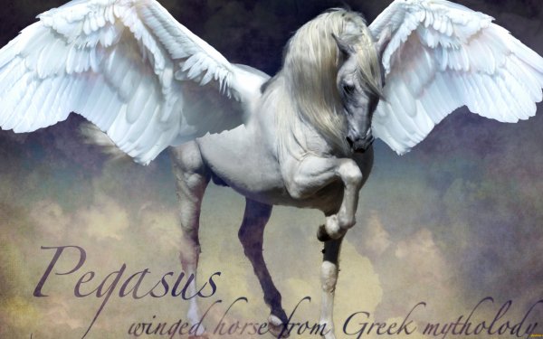 Fantasy Pegasus Fantasy Animals HD Wallpaper | Background Image