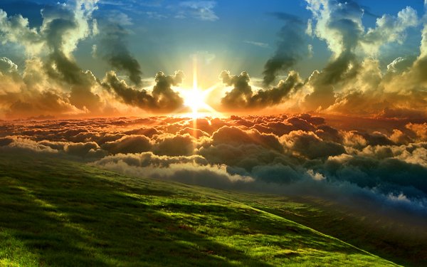 Aarde/Natuur Zonsondergang Zon Gras Wolk Lucht Bos HD Wallpaper | Achtergrond