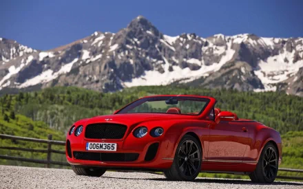 vehicle Bentley HD Desktop Wallpaper | Background Image